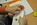 alsterpaper - Besonderes - Funkenspringer® Weiterempfehlungs-Marketing eine UMSATZBRENNEREI® Marke